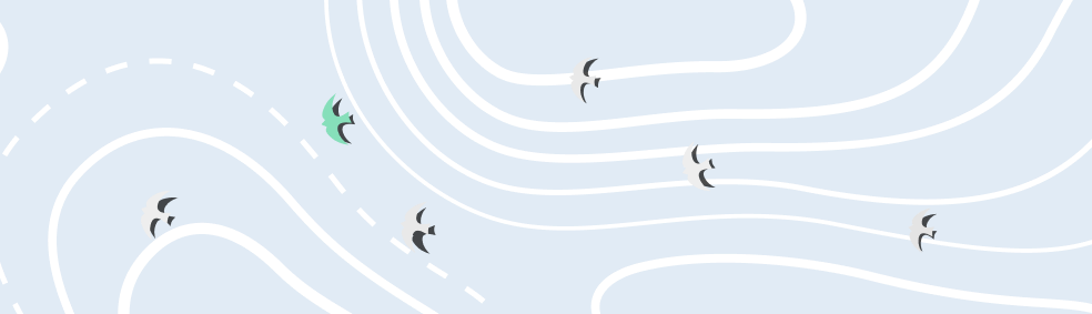 Delivery Illustration - Birds Flying over a map